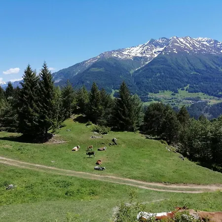 Guest house Spisshof *