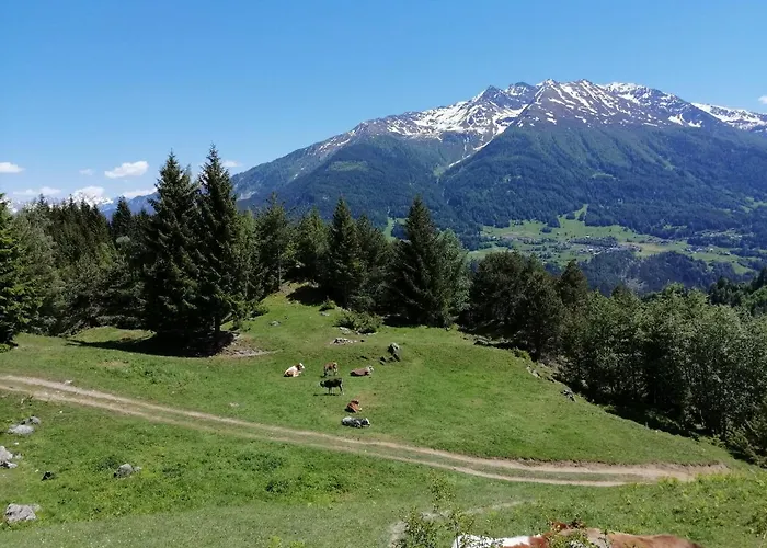 Гостевой дом Spisshof *