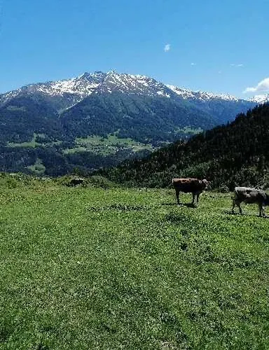 Spisshof Гостевой дом *