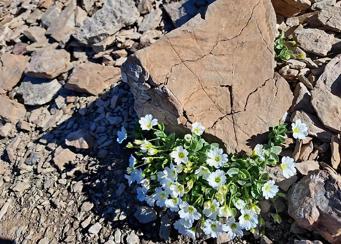 Гостевой дом Spisshof *