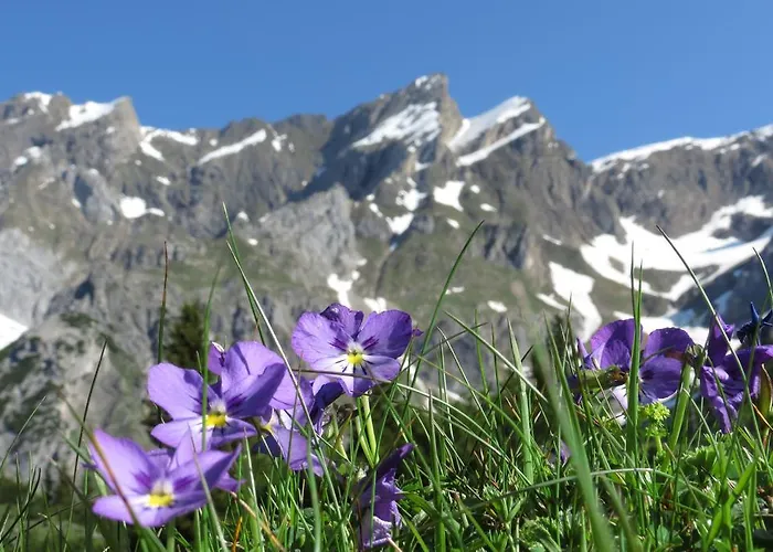 Spisshof Гостевой дом *