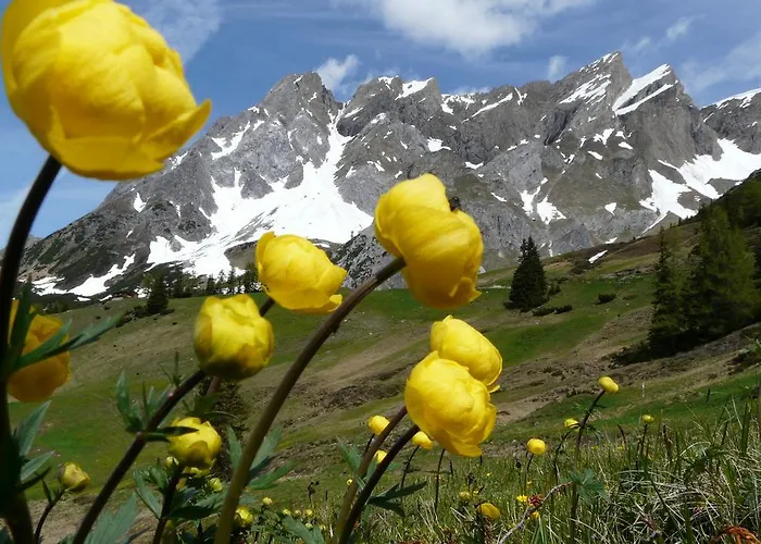 Гостевой дом Spisshof Гринс