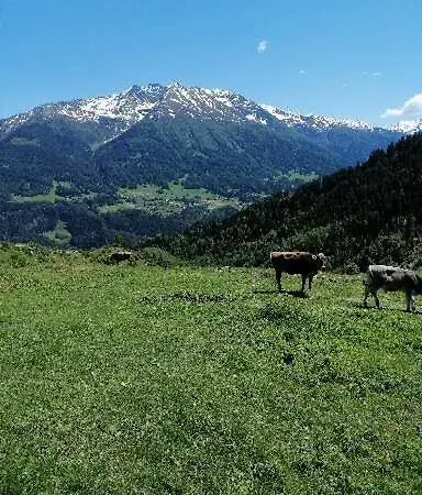 Spisshof Konukevi *